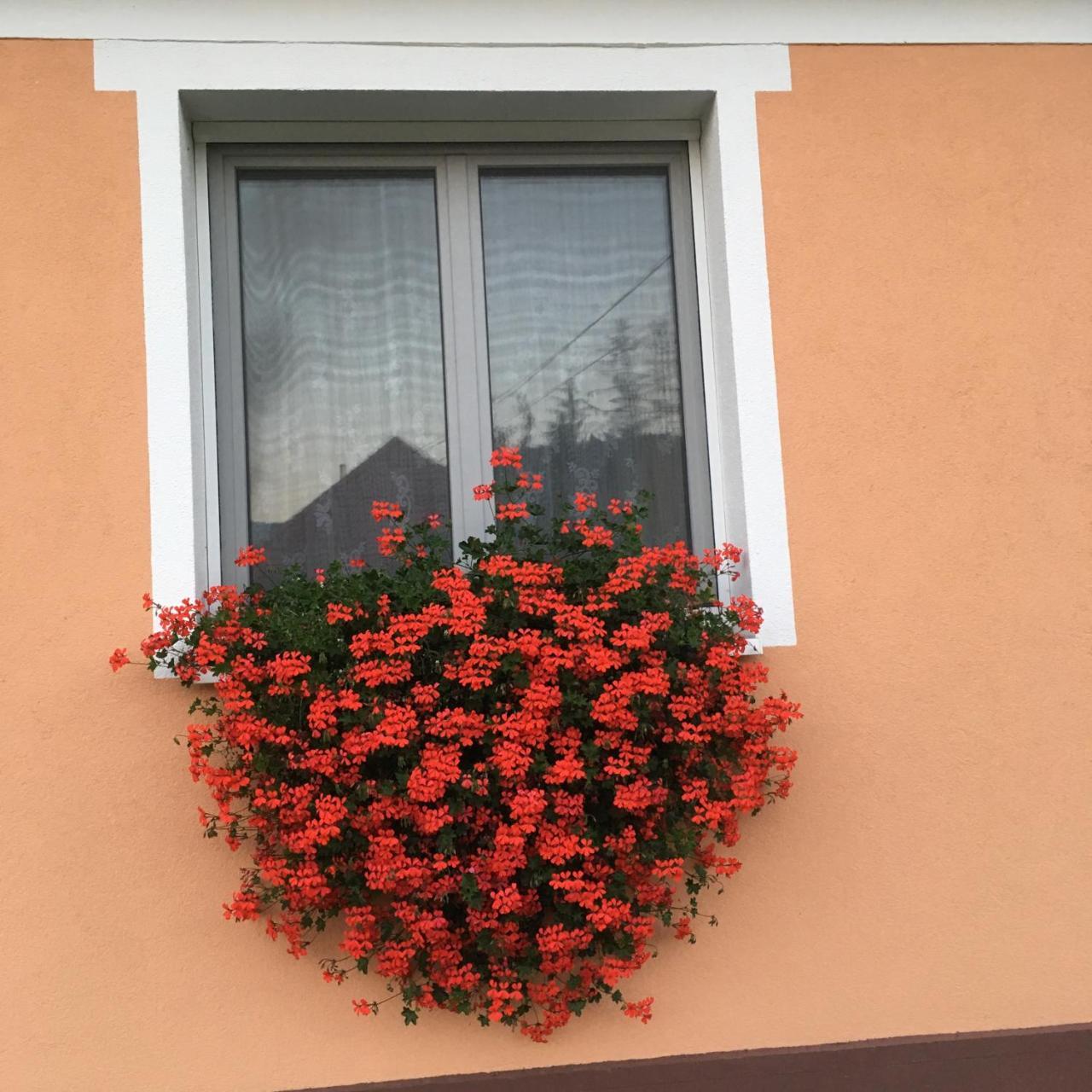 Liliom Vendégház Bakonybél Extérieur photo